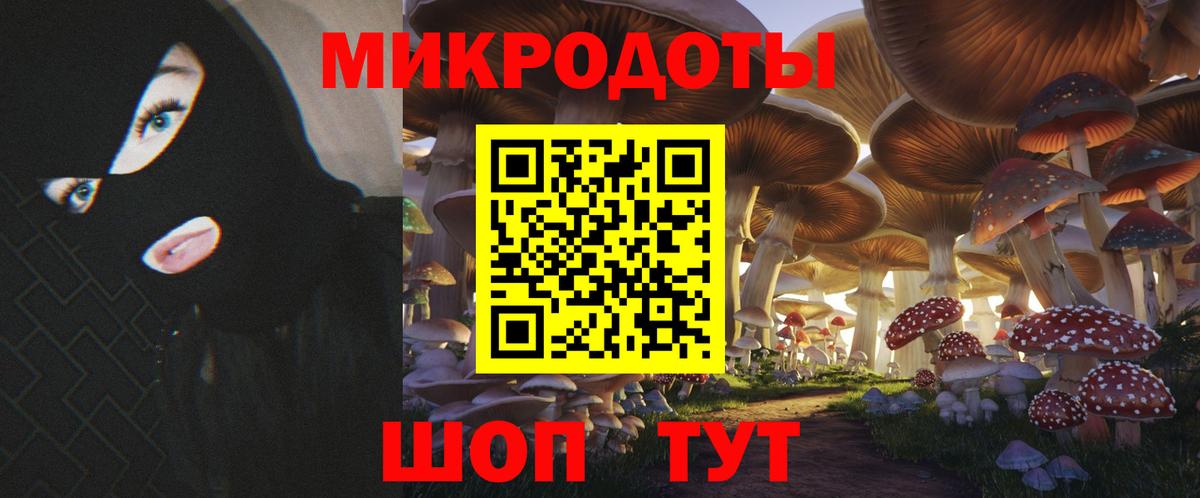 Псилоцибиновые грибы прущие грибы Аргун